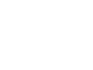 Pannoumi logga