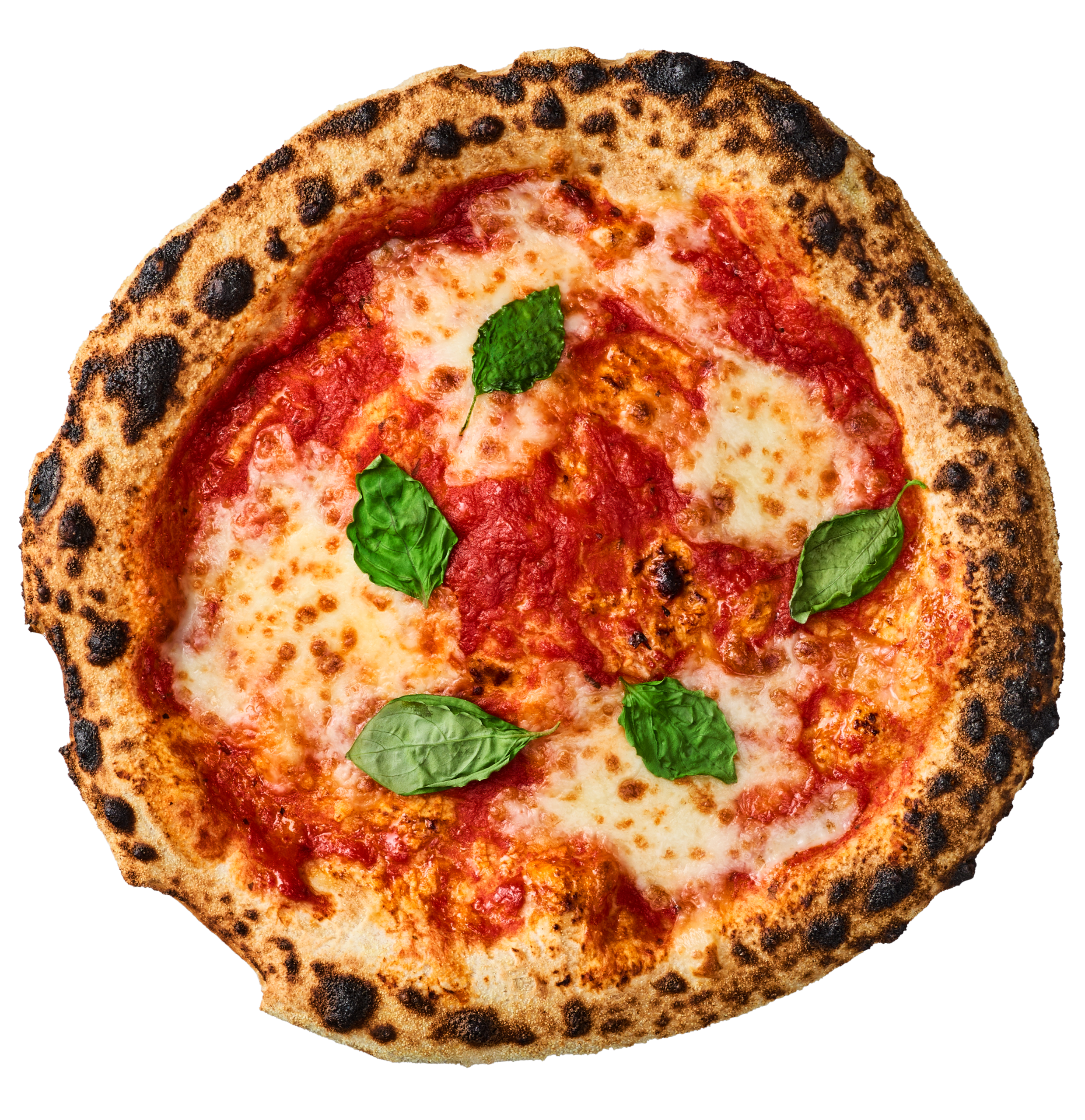 Välgräddad pizza med tomatsås, ost och färska basilikablad